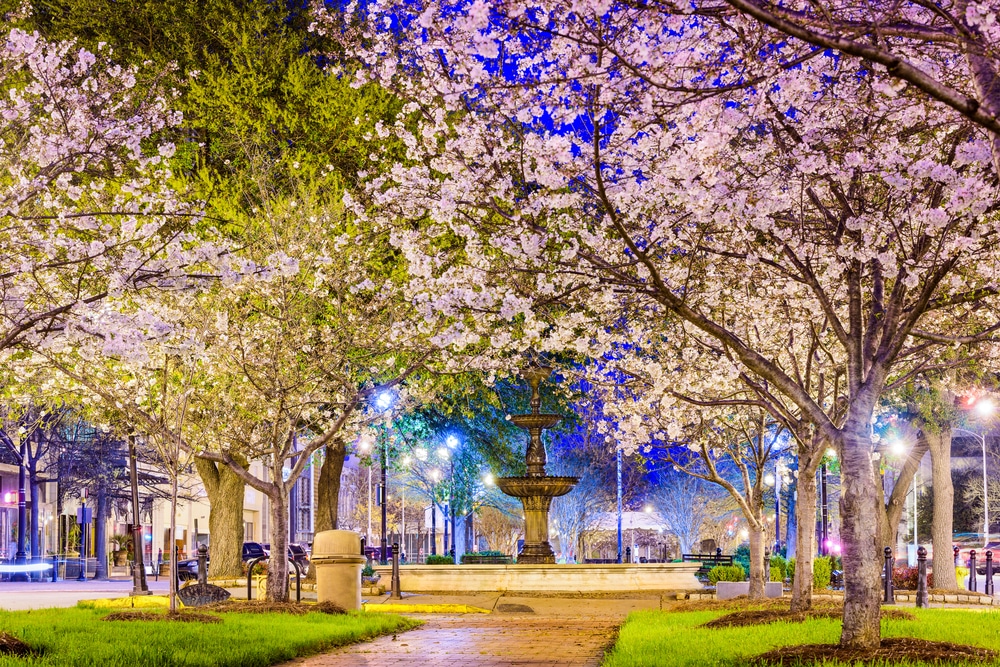 This Magical Cherry Blossom Festival Will Soon Return To Macon