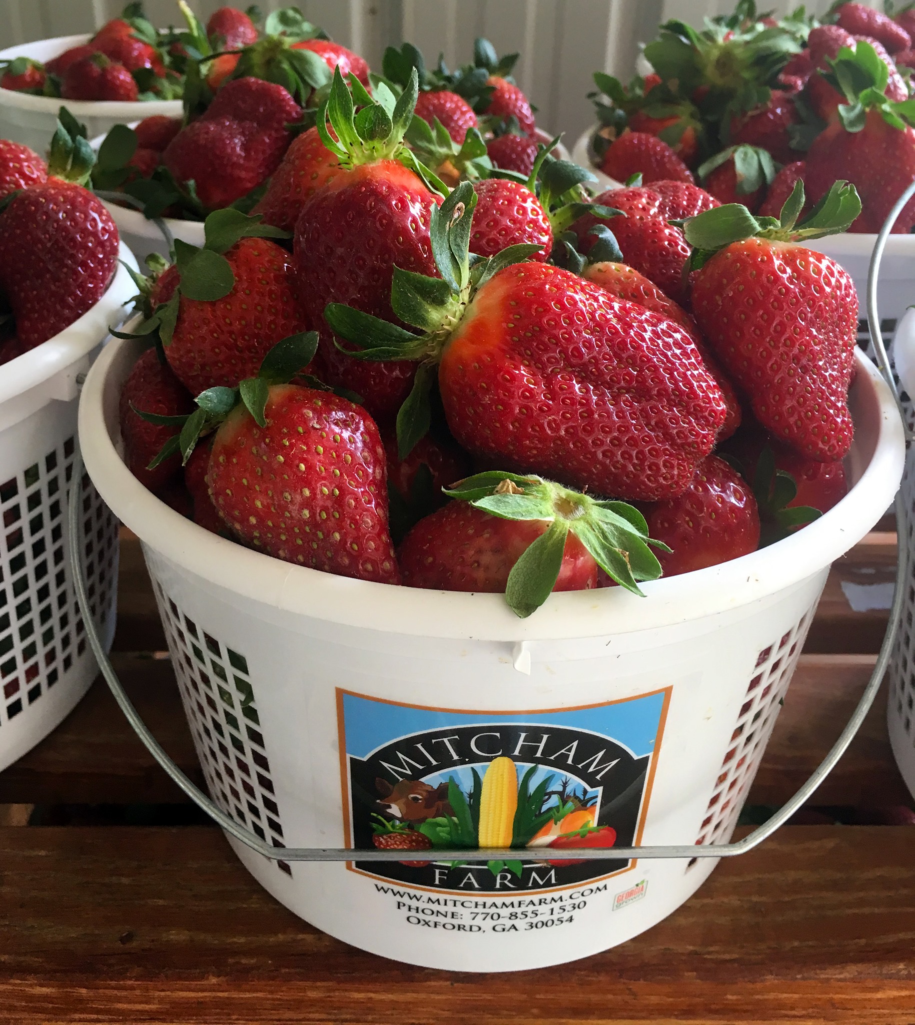 7 Incredible Places To Go Strawberry Picking In And Around Atlanta