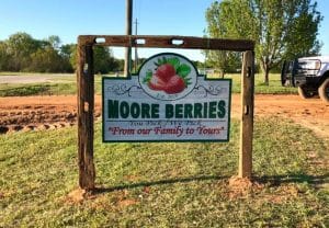 Moore Berries - U Pick Strawberry experience