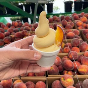 Peach ice cream at Jaemor Farms