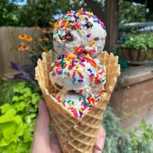 Ice cream with sprinkles from ATL's Butter & Cream