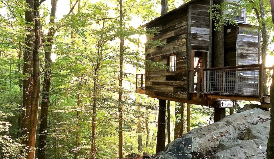 This Secluded Tree House Takes Glamping In Georgia To The Next Level