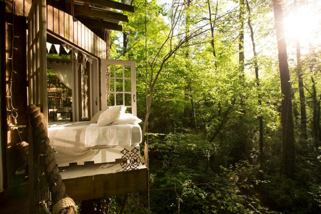 A glamping getaway in Georgia located in a forest