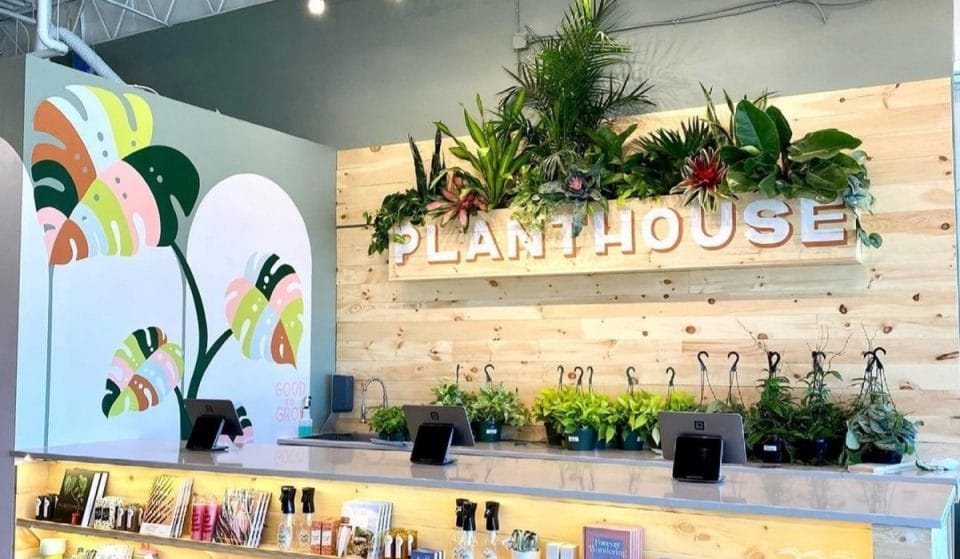This Gorgeous Plant Shop And Bar Is Coming To Atlanta This Winter