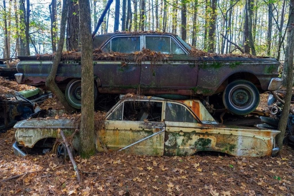 This Old Car Junkyard Is Now A “Photographer’s Paradise”