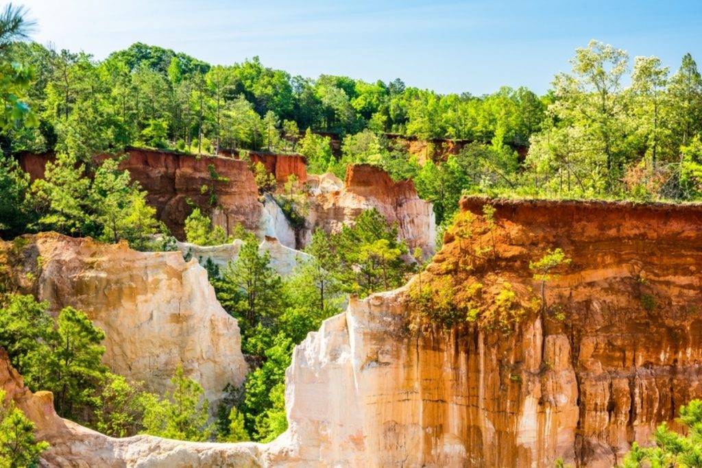 12 Weird And Wonderful Things To Do In Georgia