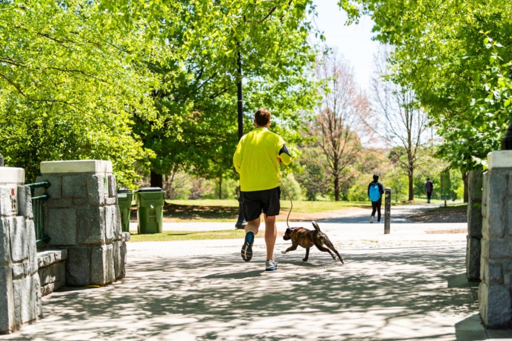 6 Incredible Dog Parks In Atlanta, Perfect For Every ATL Pooch!