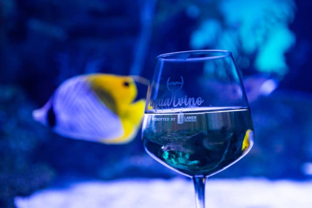 Georgia Aquarium Are Hosting This Swanky Wine Tasting Extravaganza