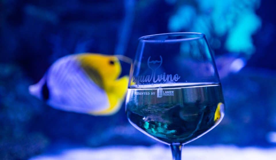 Georgia Aquarium Are Hosting This Swanky Wine Tasting Extravaganza