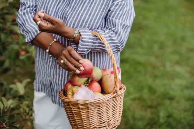 A photo of a woman with a blue shirt holding a basket of apples and placing another apple in.