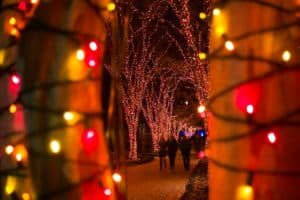 The Atlanta Botanical Garden's holiday lights spectacular is back for 2022