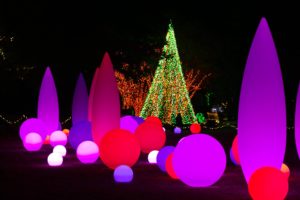 Holiday lights at The Atlanta Botanical Garden