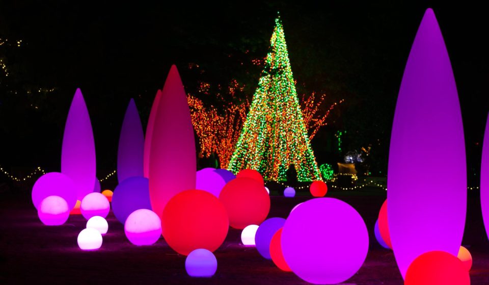 11 Dazzling Light Displays In And Around Atlanta For The Holiday Season