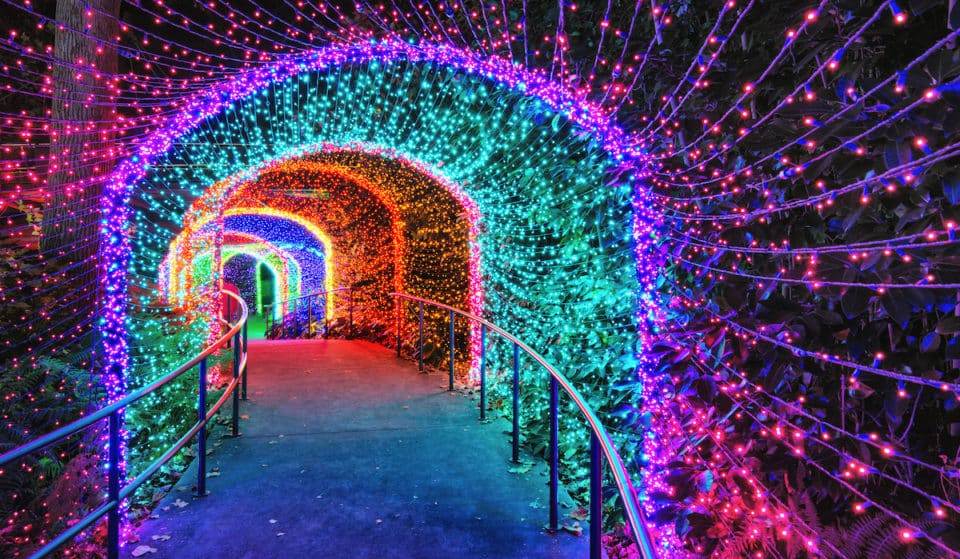 Millions Of Twinkling Lights Will Transform The Atlanta Botanical Garden This Holiday Season