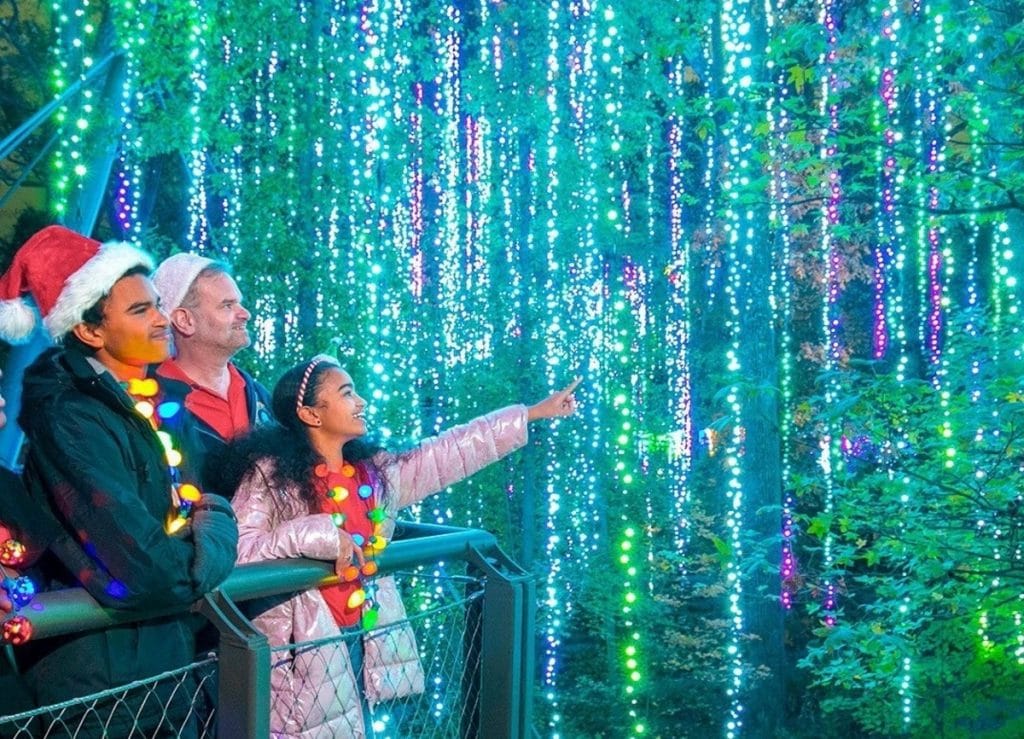 12 Dazzling Light Displays In And Around Atlanta For The Holiday Season