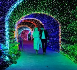 Holiday lights show at the Atlanta Botanical Garden