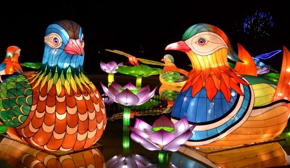 IllumiNights Lights Up Atlanta Zoo With Spectacular Chinese Lanterns