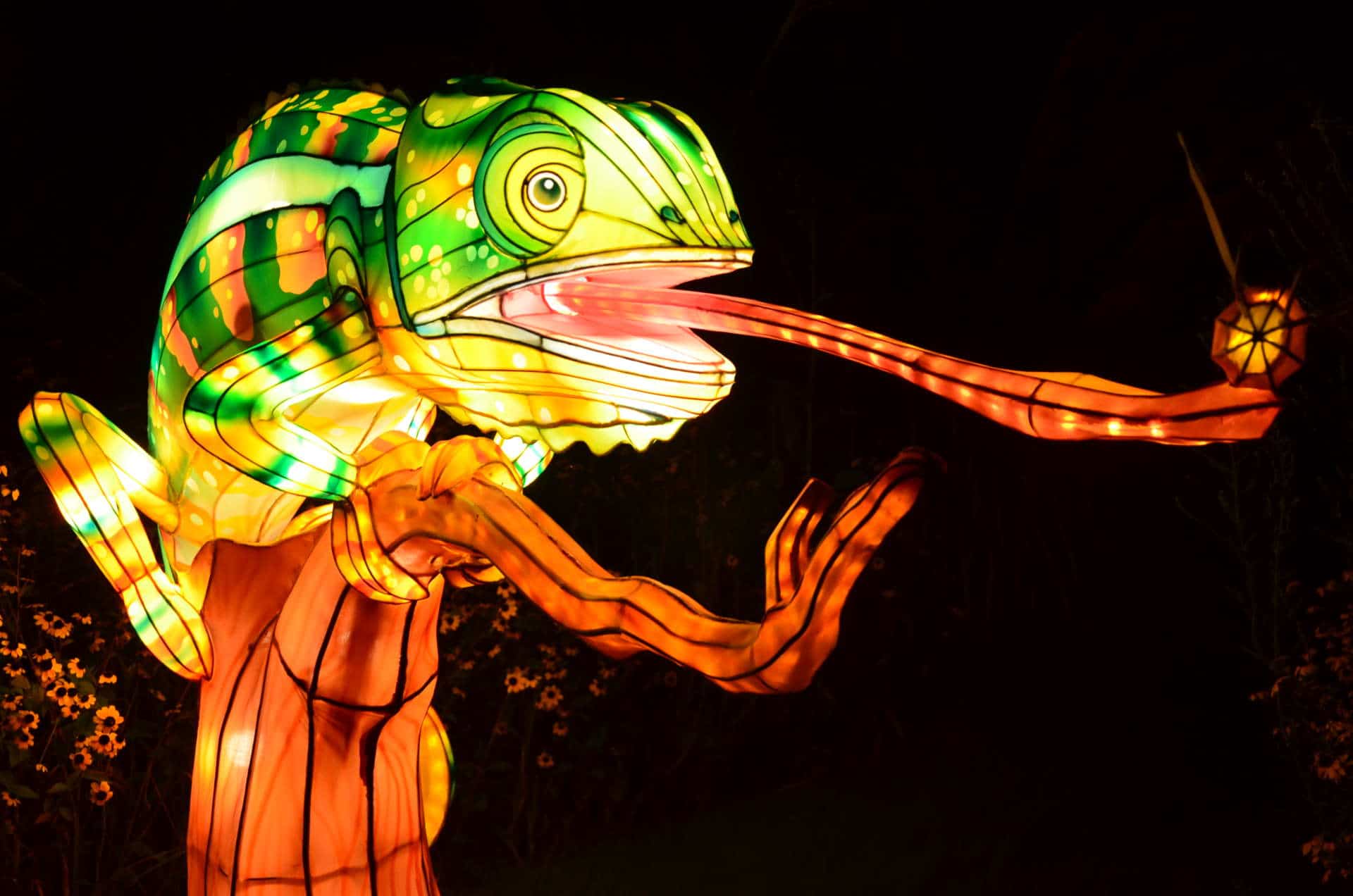 IllumiNights Lights Up Atlanta Zoo With Spectacular Chinese Lanterns