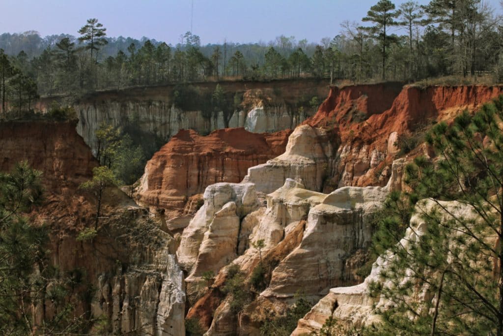 7 Natural Wonders In Georgia: The Most Magnificent Natural Spectacles Near Atlanta