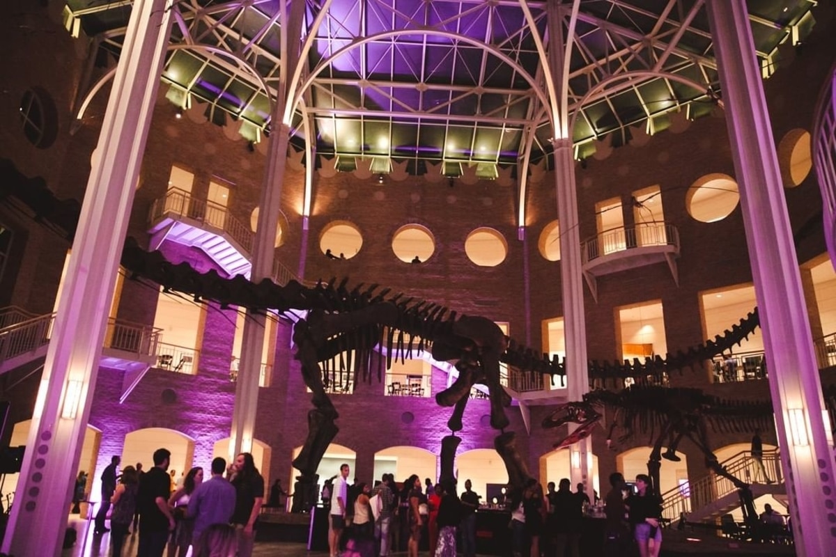 Fernbank Museum Holiday Hours