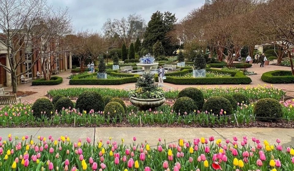 8 Gorgeous Gardens In And Around Atlanta To Check Out This Spring