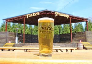 Beer at the outdoor stage in Tucker Brewing Company's epic beer garden