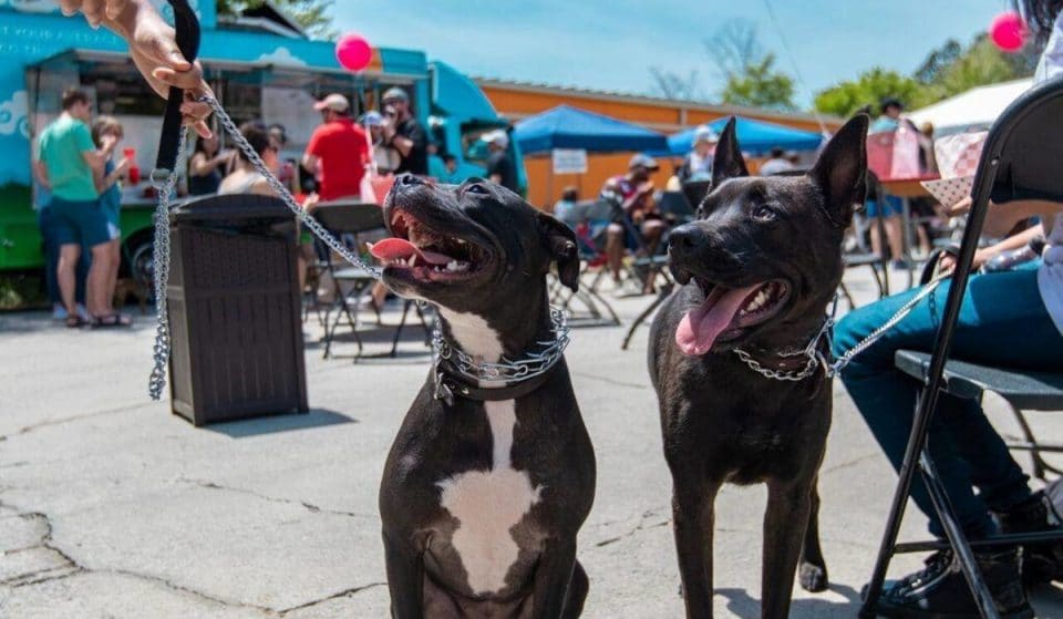 Let The Dogs Out At This Charitable Party For Pups Coming To Brookhaven