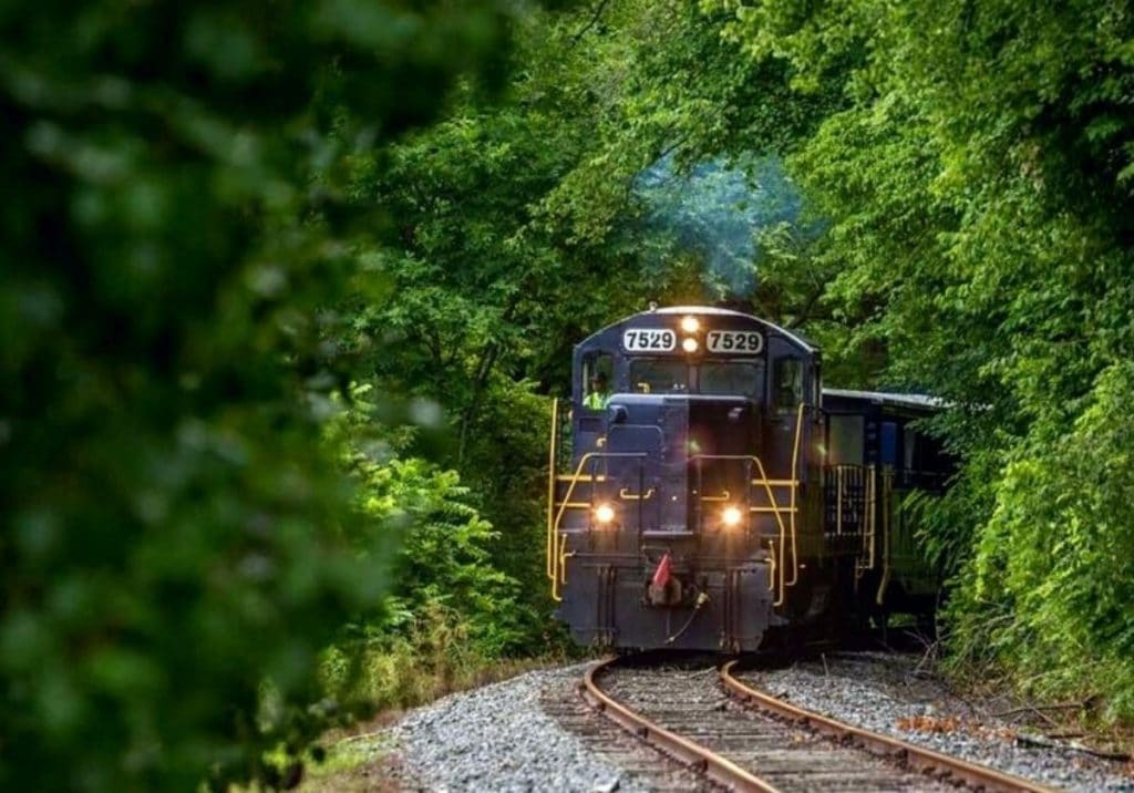 Blue Ridge Railway