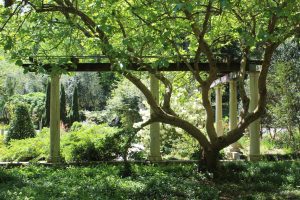 Hidden gardens in Atlanta