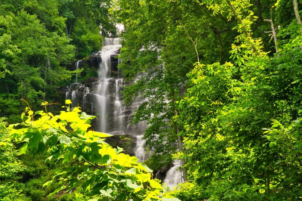 Amicalola Falls waterfall near Atlanta, Georgia