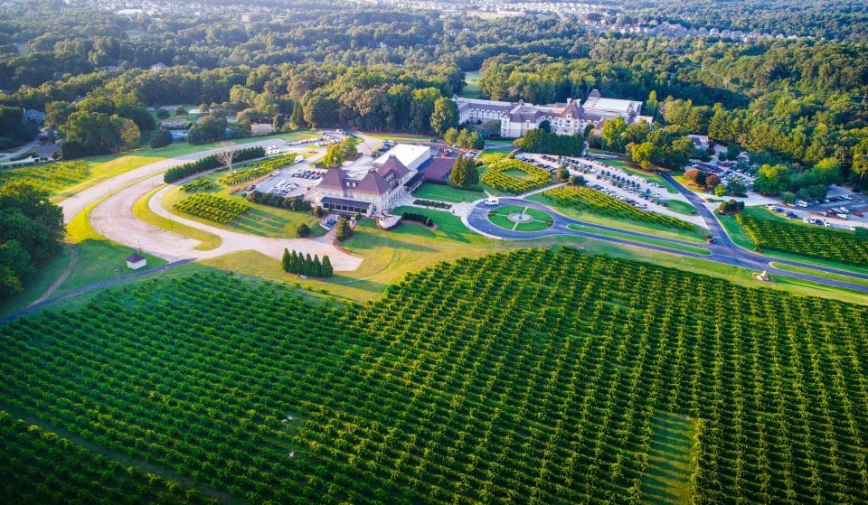 6 Must Experience Georgia Wineries With Breathtaking Views