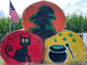 Halloween-themed hay at Buford Corn Maze
