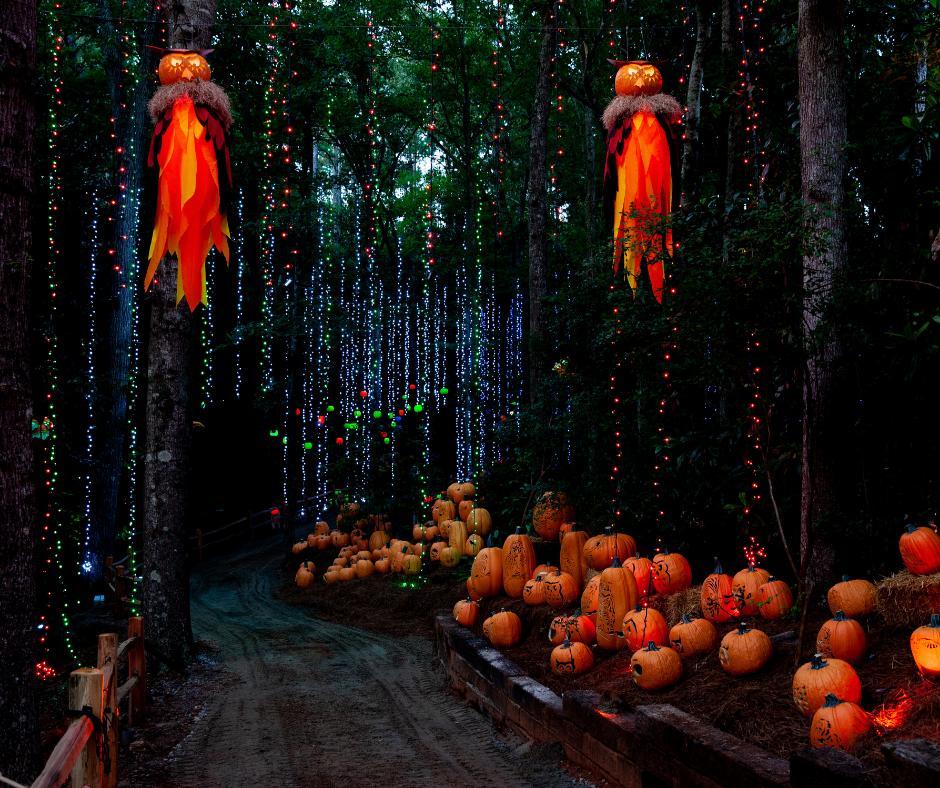 This Illuminous Pumpkin Bash Has Magically Transformed Callaway Gardens