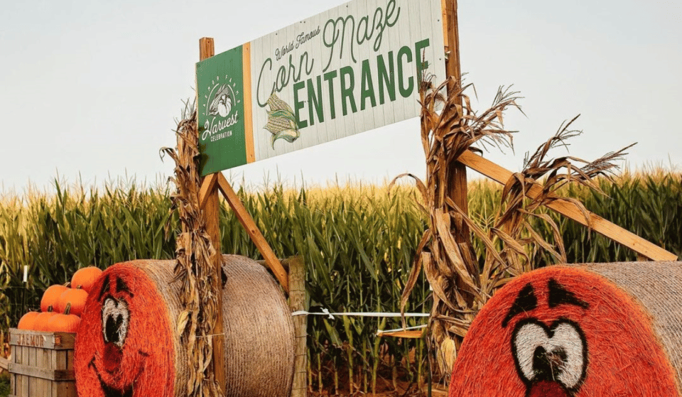 10 Best Corn Mazes To Visit This Fall Near Atlanta