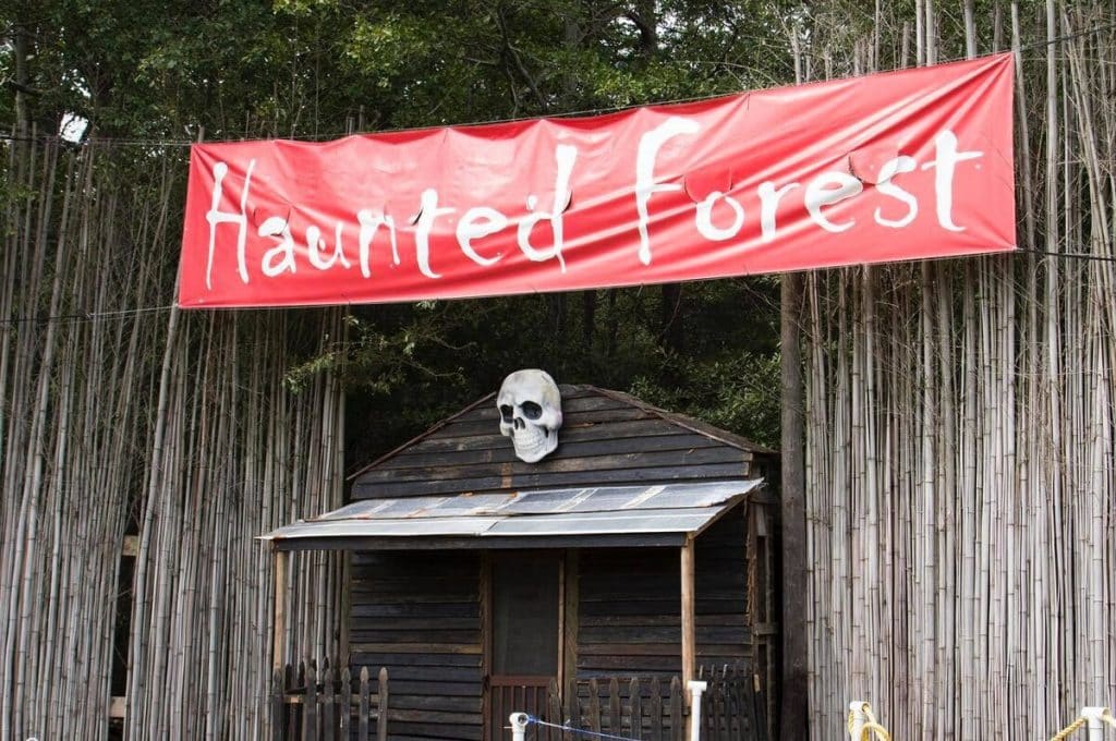 Buford Corn Maze's Haunted Forest, ultimate horror experience for the family this Halloween