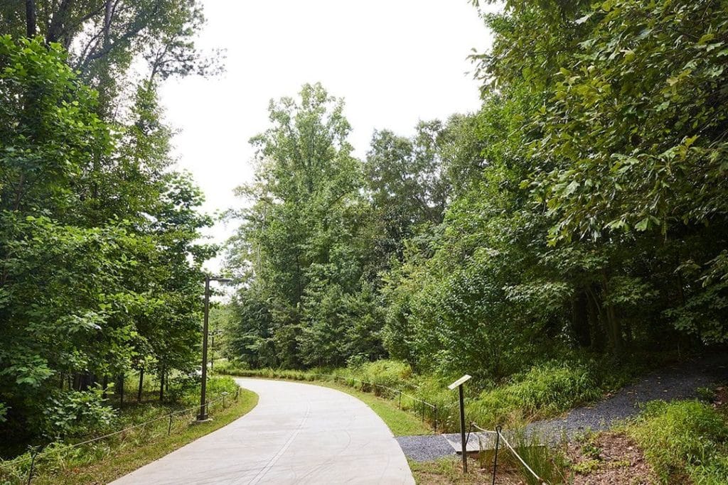 The Atlanta BeltLine Has Officially Opened The Westside Trail On ...