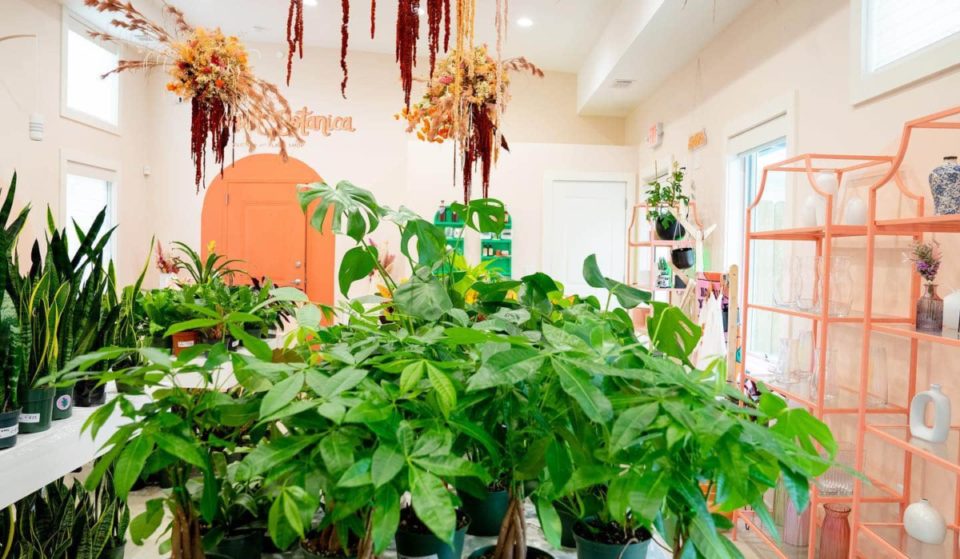 8 Plant Shops In Atlanta To Help Start Or Grow Your Green Collection