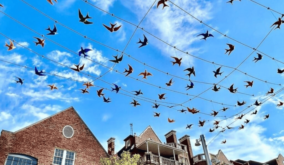Watch Alfred Hitchcock’s ‘The Birds’ Under Midtown’s Terrifically Fitting Installation