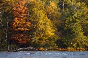 Fall hikes in Atlanta: Chattahoochee River trails