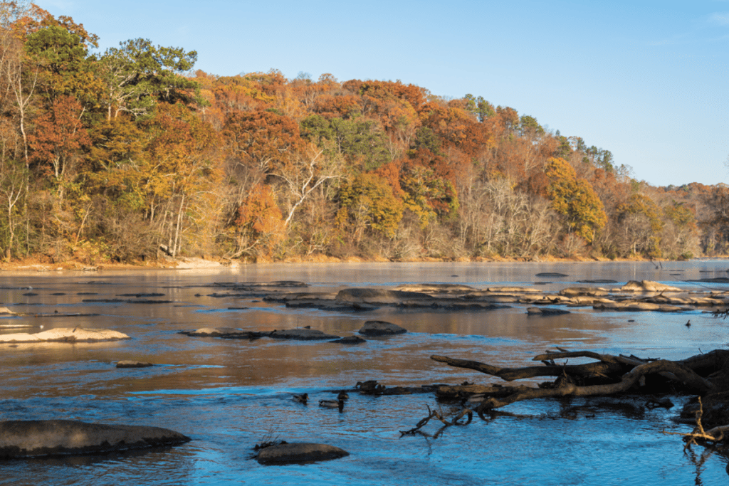 Fall hikes on the Chattahoochee River in Atlanta