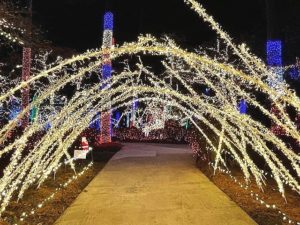 Holiday light display in Kennesaw near Atlanta, Lights of Joy