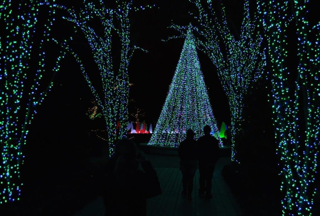 Holiday lights at Atlanta's Botanical Gardens, one of the many things to do in the ATL over the festive season