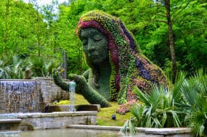 Stunning floral installation and fountain at the Atlanta Botanical Garden in Midtown Atlanta