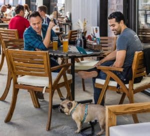Dogs and owners outside Brewdog on their patio, directly on their Atlanta BeltLine