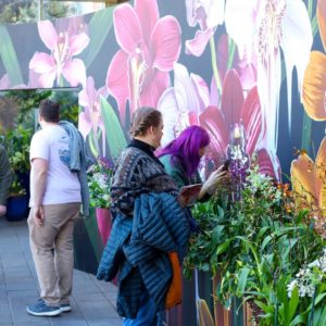 Visitors viewing the mural and orchids at the Atlanta Botanical Garden's 'Orchid Daze' exhibit