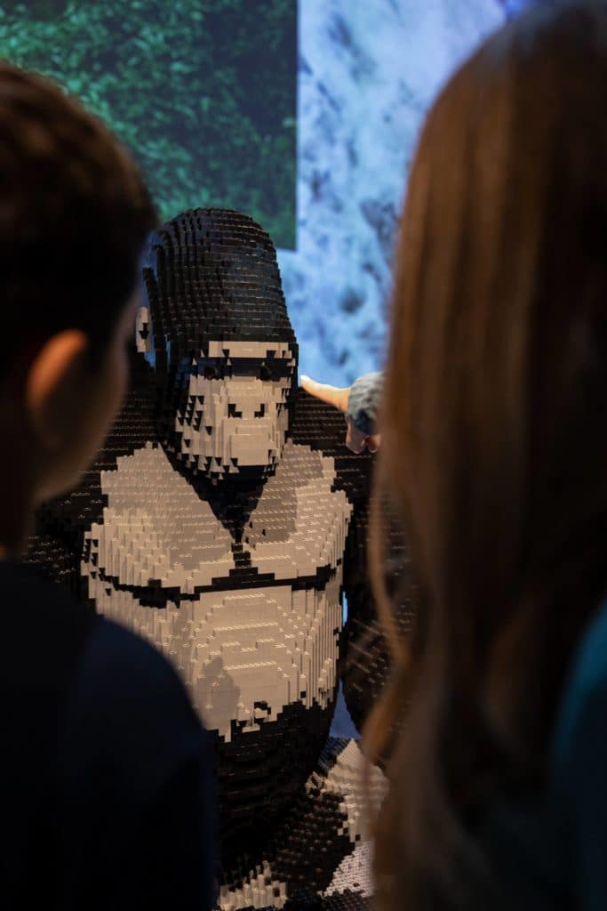 ‘Art of The Brick Immersive Experience’