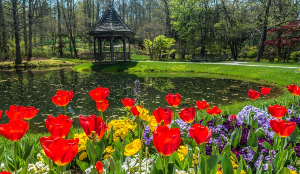 38 Things To Do This Season In Atlanta To Guarantee A Spectacular Spring!