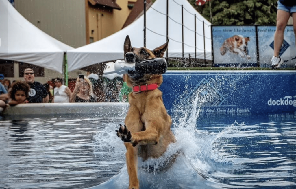 Enjoy The Ultimate Dog-Friendly Event This Weekend At The Avenue West Cobb