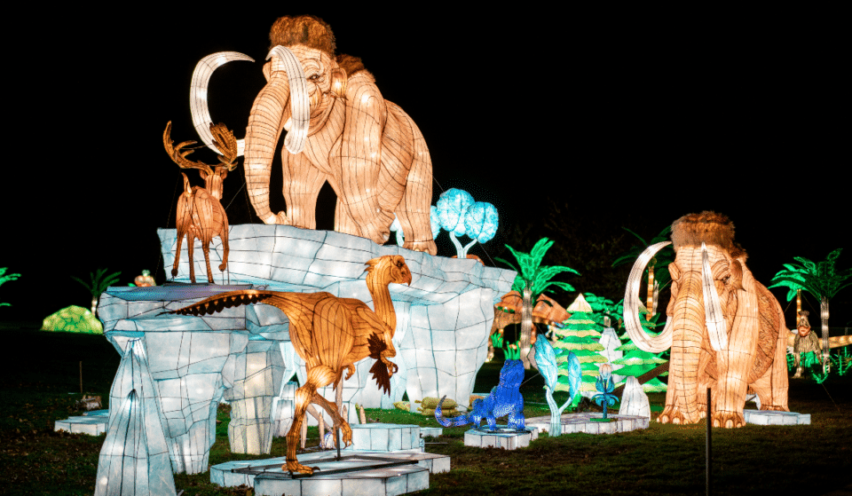 This Magical Winter Lantern Festival Just Opened In Georgia