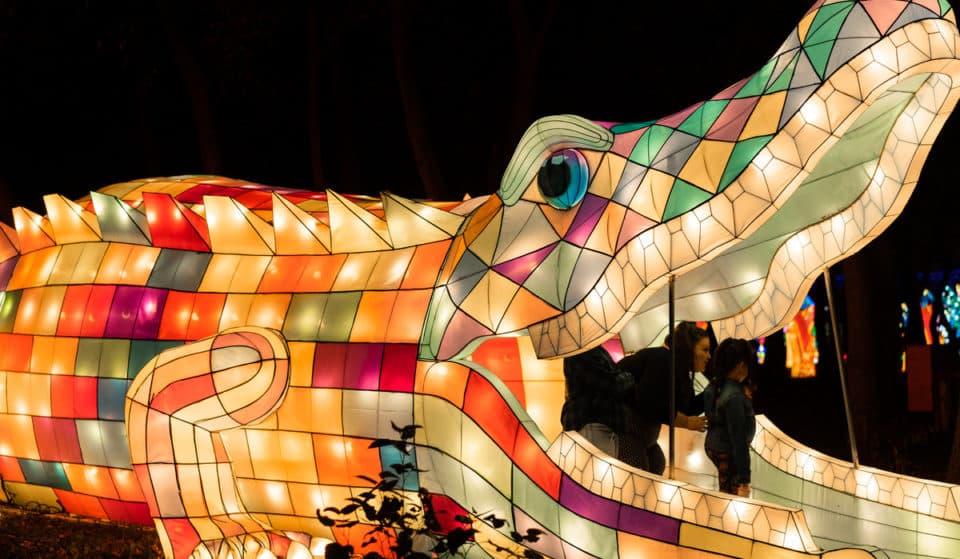 Georgia’s Brand New Winter Lantern Festival Is Officially Open And Illuminated